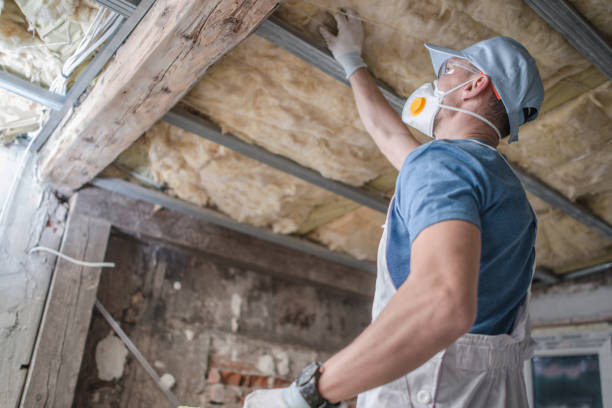 Best Insulation Removal  in Deltona, FL